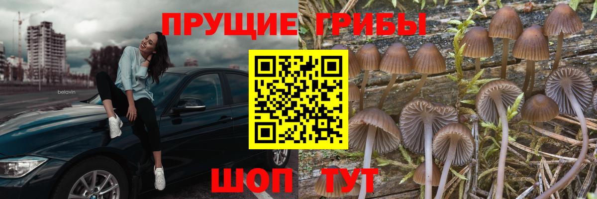 Кстово  Галлюциногенные грибы мухоморы  Галлюциногенные грибы Cubensis  Вход с VPN 